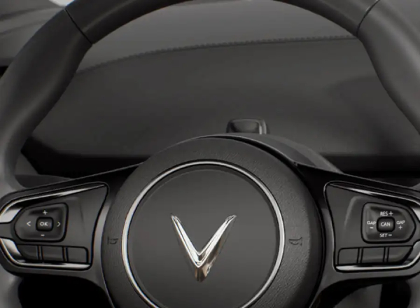 Giám sát người lái